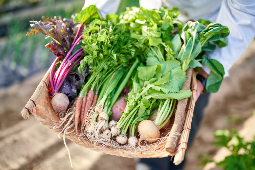 La Saison Farmer‘s Market